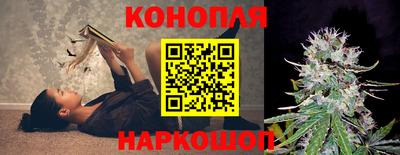 бошки Гусев