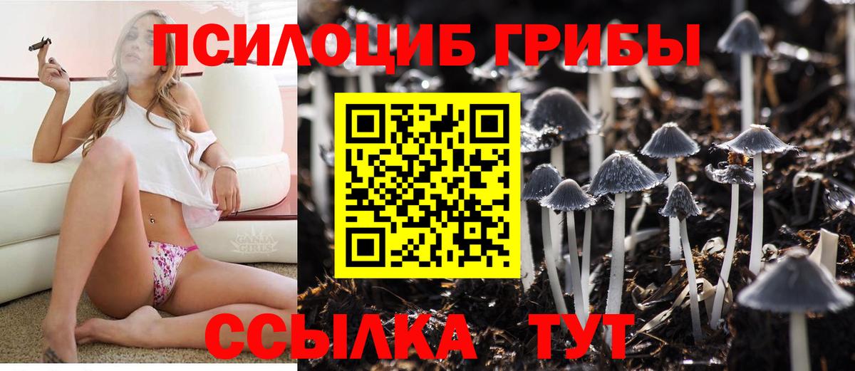 Галлюциногенные грибы Magic Shrooms Калач-на-Дону