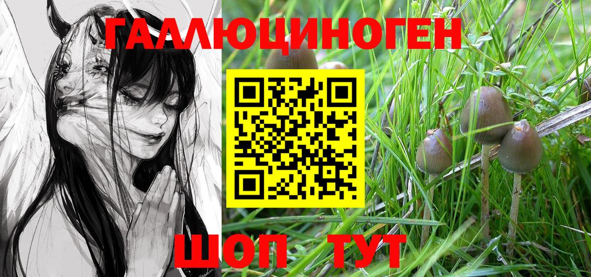 Псилоцибиновые грибы ЛСД  Псилоцибиновые грибы Psilocybe  Калач-на-Дону  Вход с VPN 